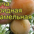 Алыча Карамельная саженцы